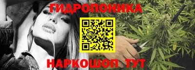 гидра Ивантеевка